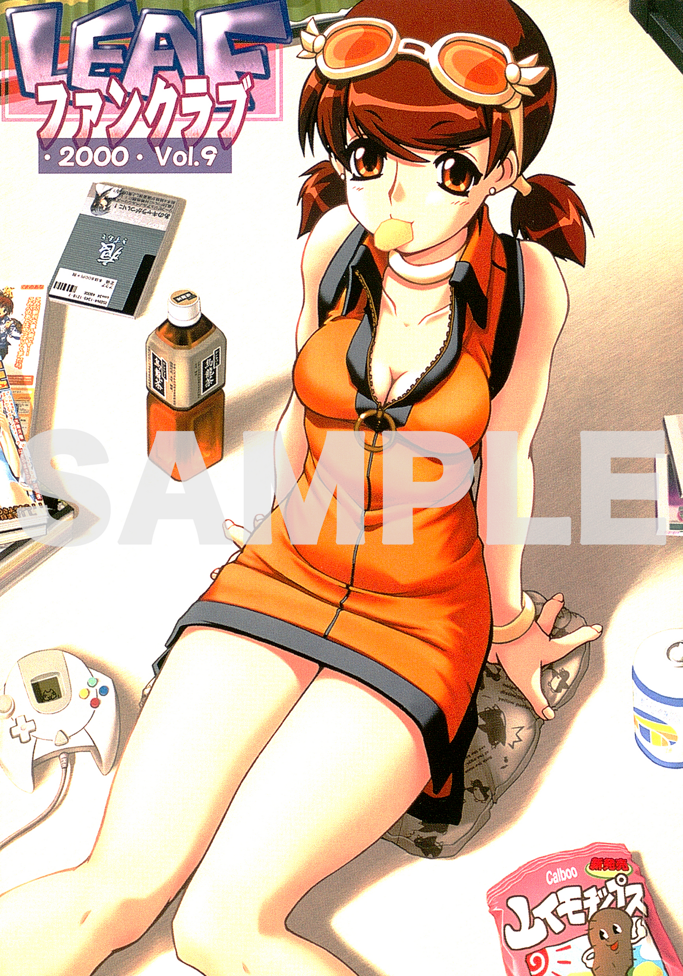 Leafファンクラブ会報誌vol.1〜21・記念CD・カレンダー2種など Leafファンクラブ会報誌vol.1〜21・記念CD・カレンダー2種など Leaf